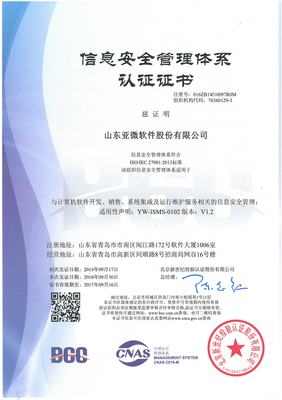 山東亞微軟件股份有限公司 深耕軟件開發(fā)，驅(qū)動區(qū)域數(shù)字化轉(zhuǎn)型