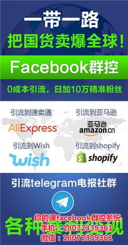 深度解析 Facebook群控軟件的應(yīng)用價(jià)值與山東軟件開發(fā)實(shí)力